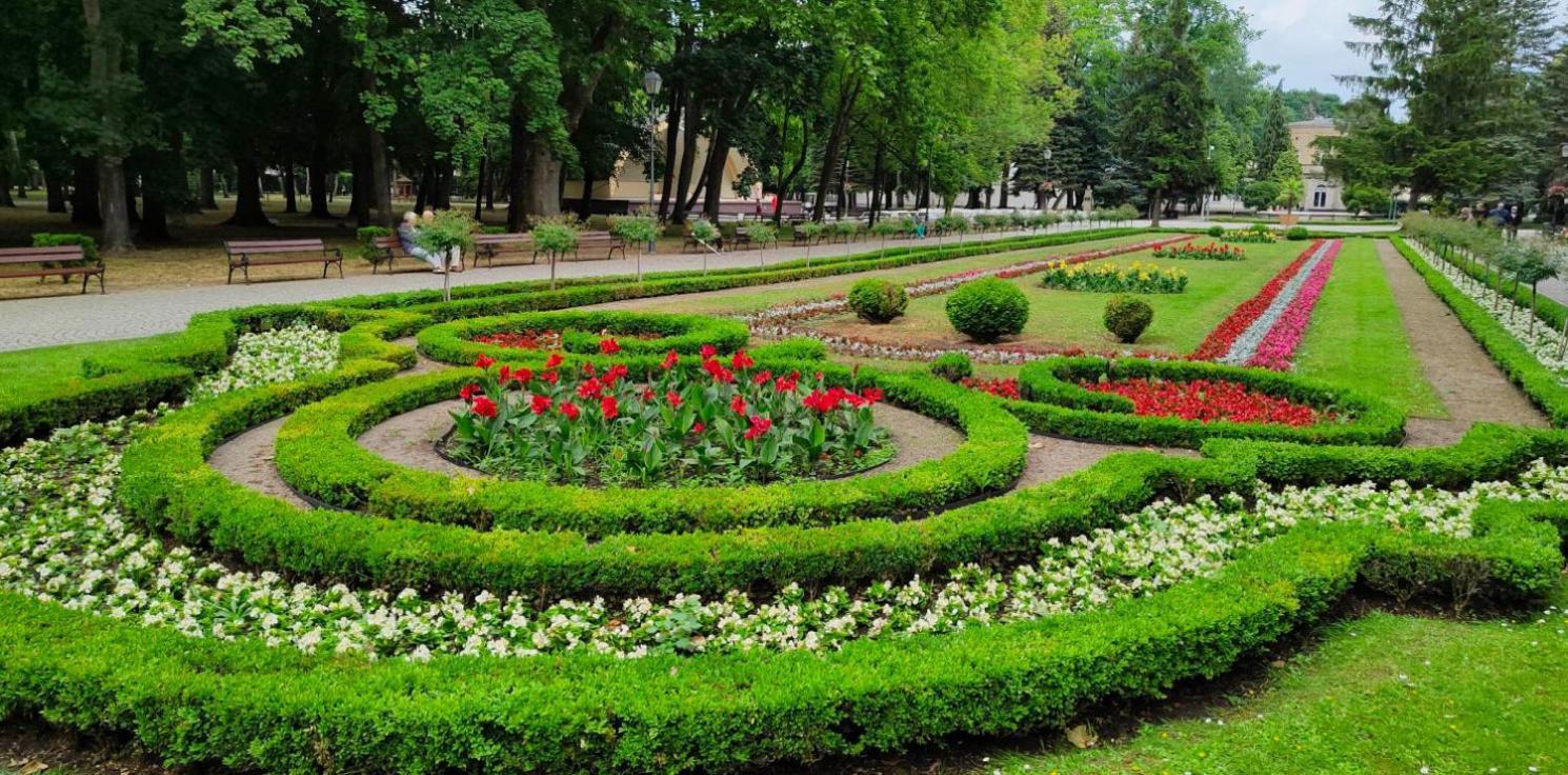 Rezydencja Pod Teznia & Spa Inowrocław Kültér fotó